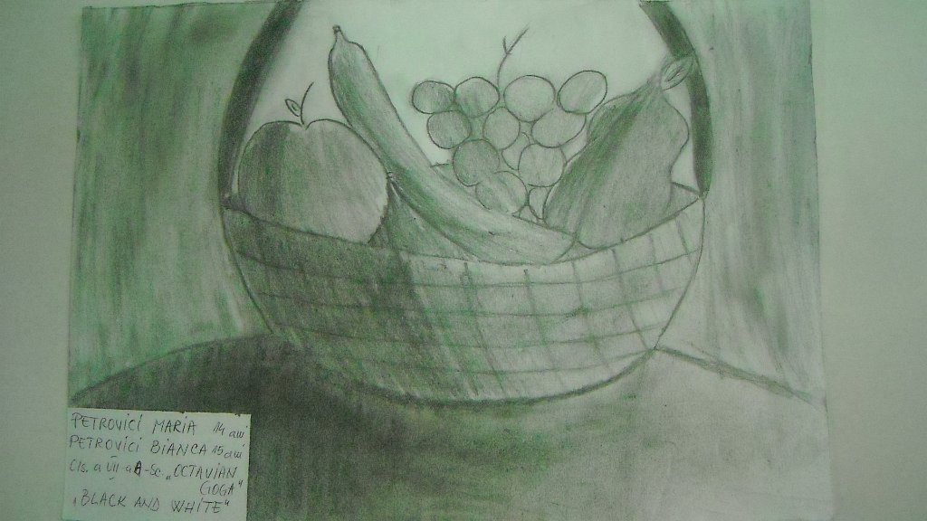 117_Petrovici Maria si Bianca_Sc Goga BM.jpg